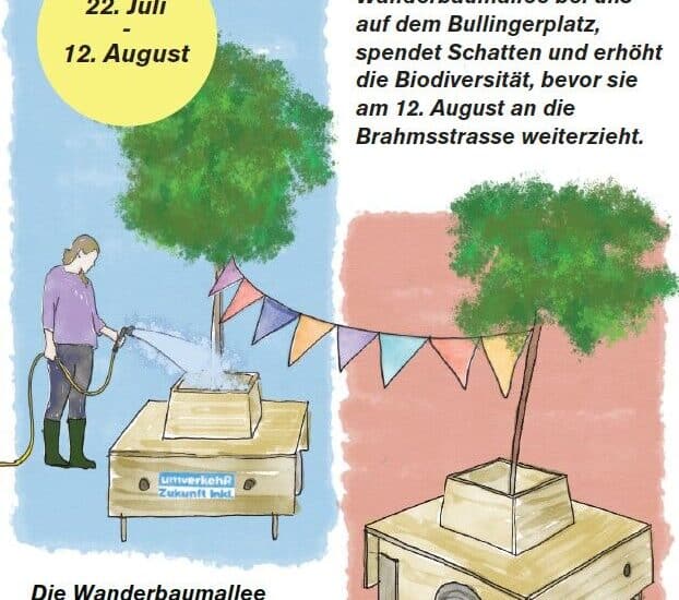 Wanderbaumallee auf dem Bullingerplatz